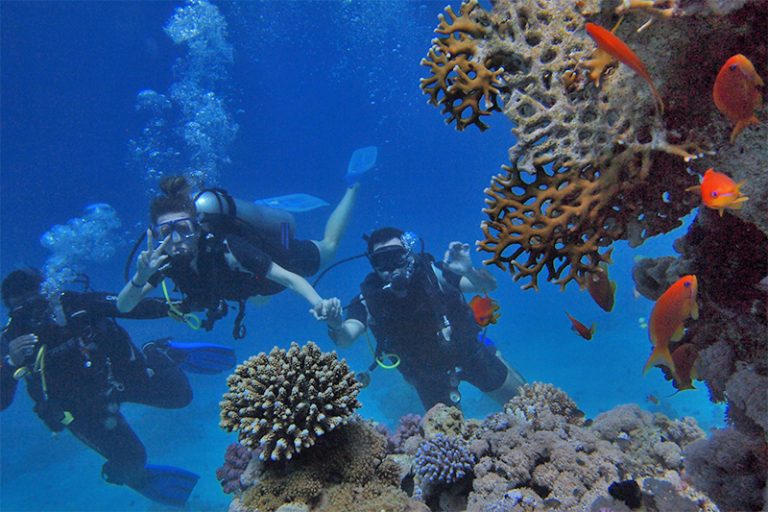 Belize Scuba Diving: Beginner's Guide to Underwater Exploration